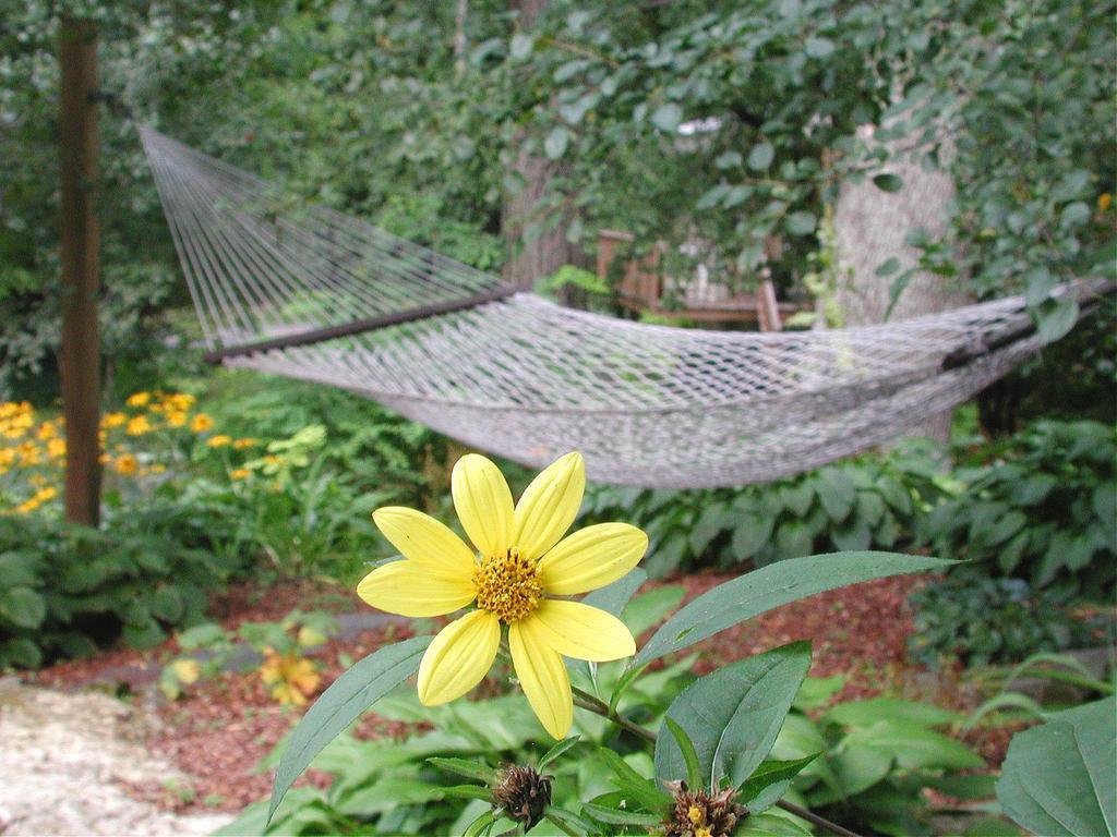 Brook Farm Inn Lenox Esterno foto